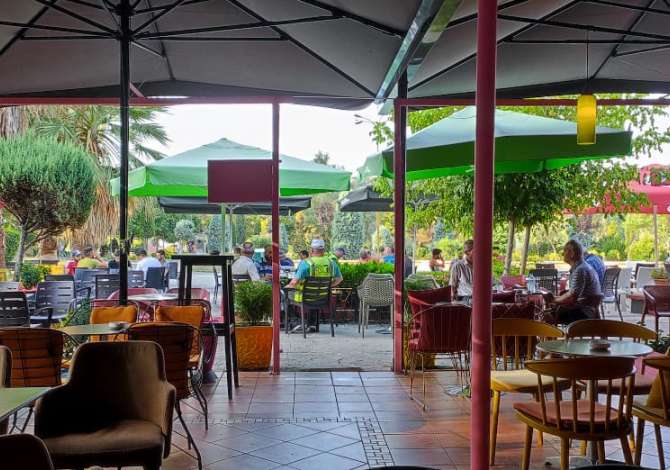 Ambient biznesi me qera 2+1 ne Tirane - 109,250 Leke