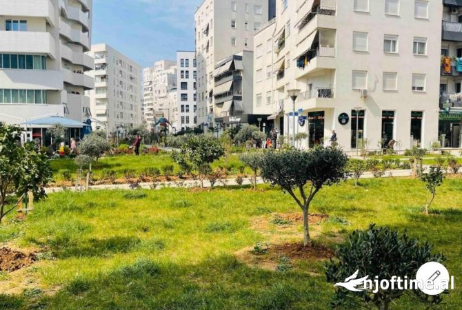 Ambient biznesi me qera 1+1 ne Tirane - 500 Euro