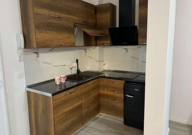 Shtepi me qera Apartament ne Tirane, 1+1, Mobilimi E mobiluar, Pagesa 500  Euro.