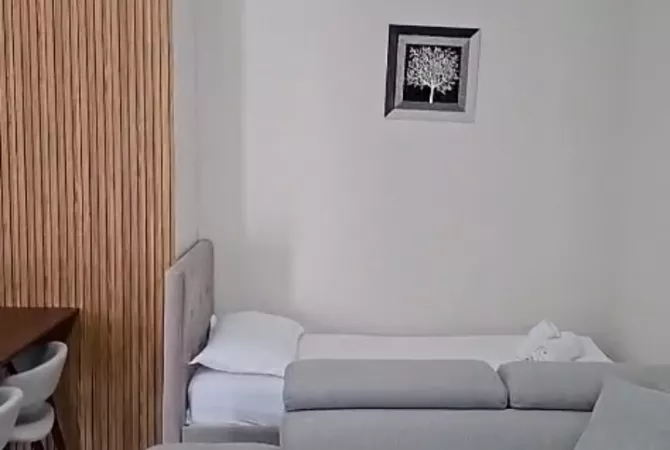 Shtepi me qera Apartament ne Tirane, 1+1, Mobilimi E mobiluar, Pagesa 500  Euro.