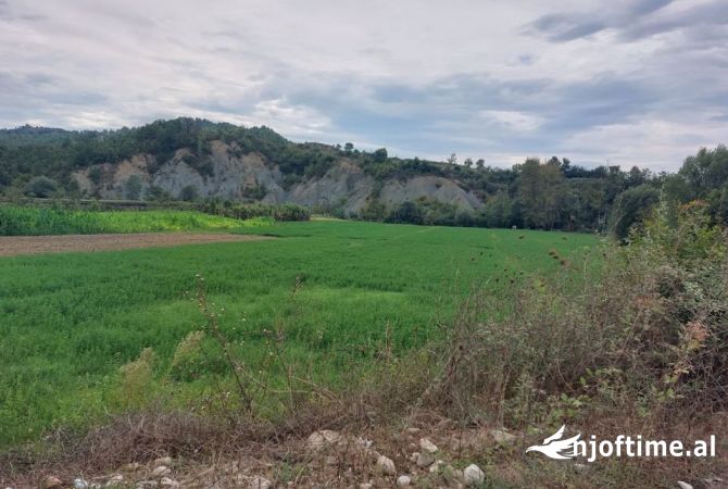 Land for Sale  in Tirana - 175,000 Euro