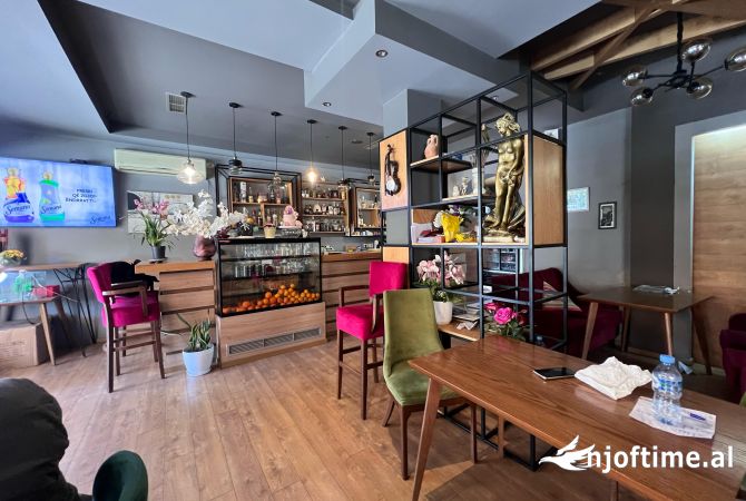 Ambient biznesi me qera 3+1 ne Tirane - 2,000 Euro