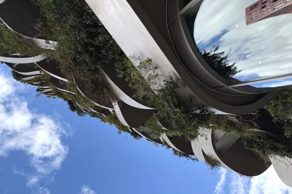 JAPIM ZYRE ME QIRA NE LION PARK RESIDENCE !