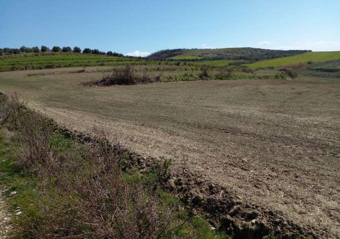 Terreno in vendita  a Lushnja - 600,000 Euro
