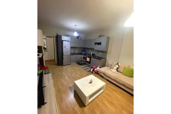 Shtepi ne shitje 2+1 ne Tirane - 130,000 Euro