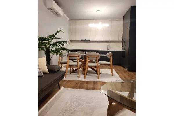 House for Rent 2+1 in Tirana - 1,500 Euro