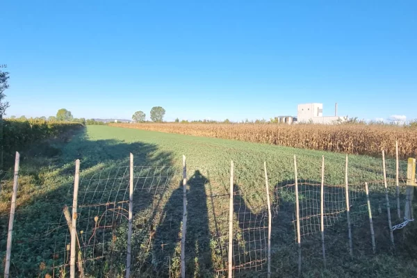 Truall ose Toke ne Durres - 235,000 Euro