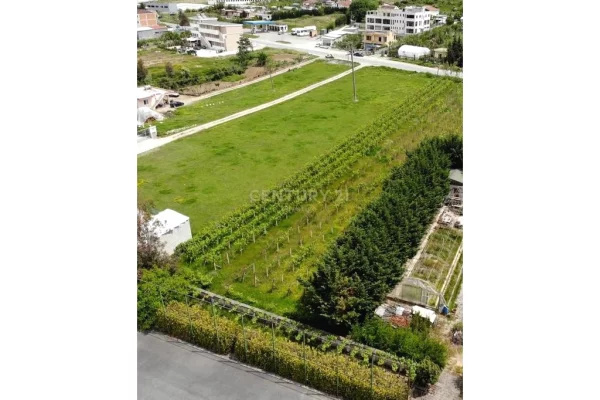 Truall ose Toke  ne Tirane - 550,000 Euro