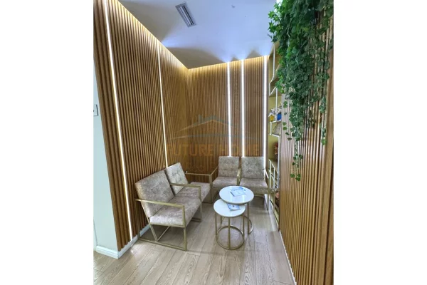 Ambient biznesi me qera 1+1 ne Tirane - 4,000 Euro