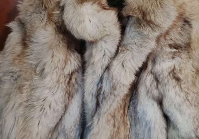 Accessori uomo e donna  a Tirana - 5,000 Euro