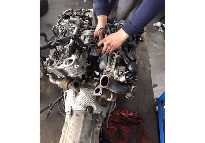 Servis qe ofron sherbime Xhenerike, Elektrike dhe Transport me Karrotrec