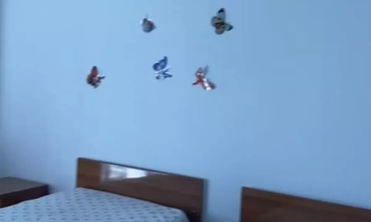 Foto 5