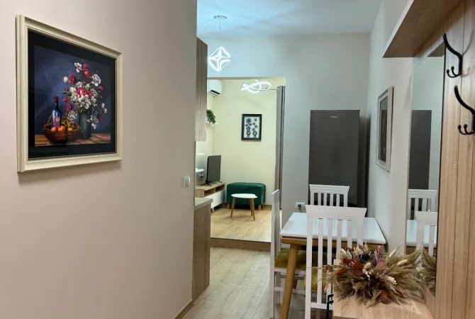 Shtepi me qera 1+1 ne Tirane - 58,000 Leke