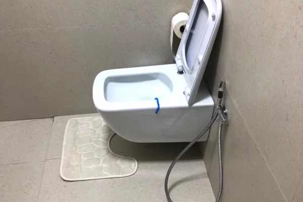 Shtepi me qera Apartament ne Tirane, 1+1, Mobilimi E mobiluar, Pagesa 750  Euro.