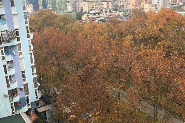 Shtepi me qera Apartament ne Tirane, 1+1, Mobilimi E mobiluar, Pagesa 750  Euro.