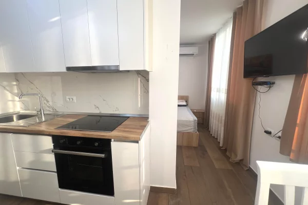 Shtepi me qera Apartament ne Tirane, Garsoniere, Mobilimi E mobiluar, Pagesa 500  Euro.