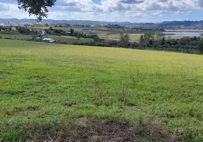 Truall ose Toke ne Tirane - 200,000 Euro