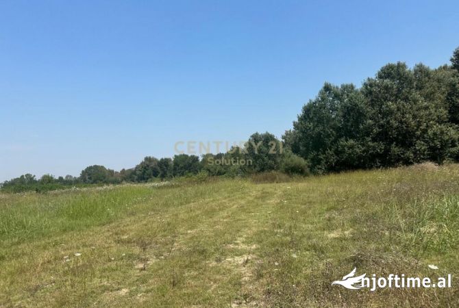 Truall ose Toke ne Tirane - 295,000 Euro