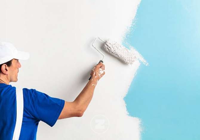 Environment maintenance in Tirana - 40 Euro