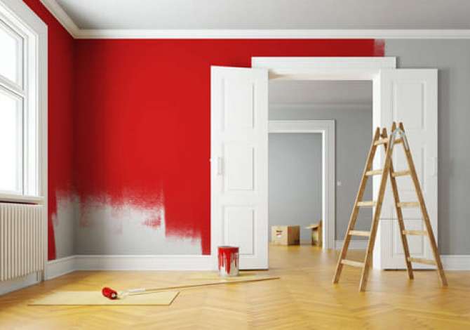 Environment maintenance in Tirana - 50 Euro