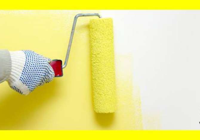 Environment maintenance in Tirana - 40 Euro