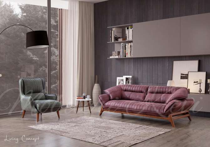 Sherbime mobilerie  ne Tirane - 100 Euro