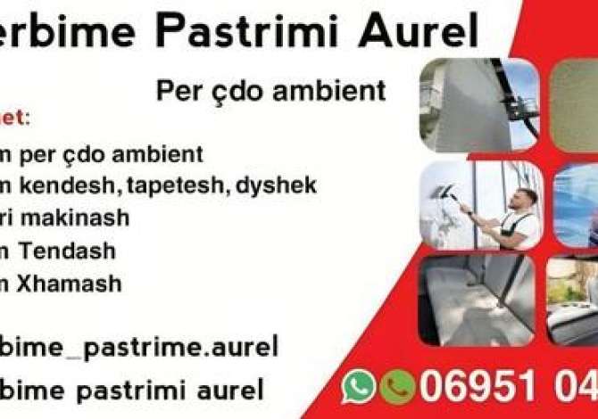 Professional Services  in Tirana - 50 Euro