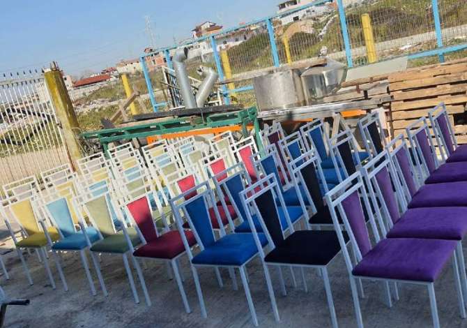 Professional Services  in Tirana - 50 Euro