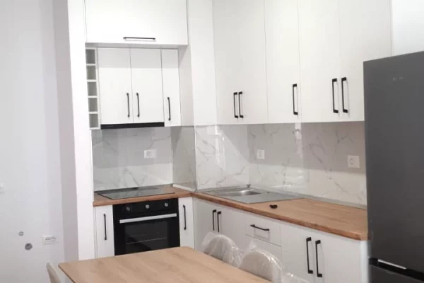 House for Rent 1+1 in Tirana - 450 Euro