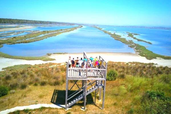 Ambient biznesi ne shitje 5+1 ne Lushnje - 277,000 Euro