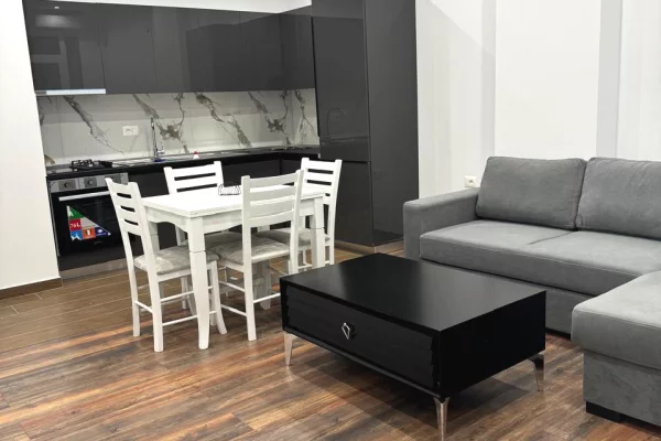 Shtepi me qera 1+1 ne Tirane - 350 Euro