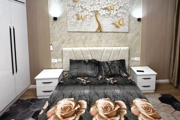 Apartment for rent in Tirana 1+1, Furnished