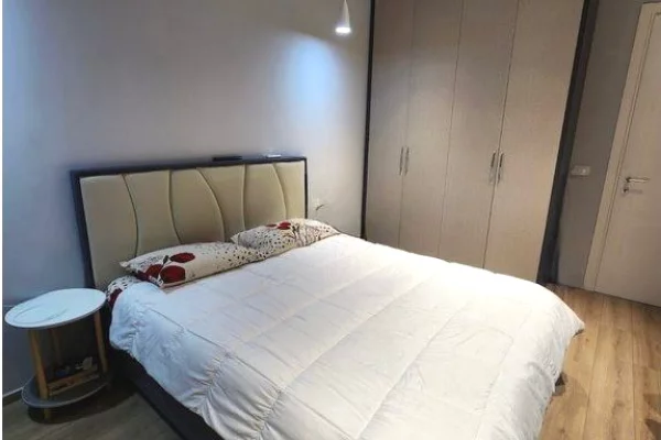 Shtepi ne shitje Apartament ne Tirane, 1+1, Mobilimi E mobiluar, Pagesa 250,000  Euro.