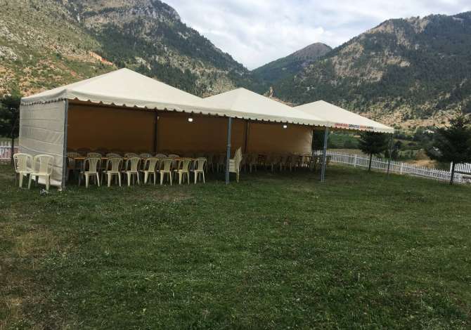 Holiday arrangements  in Tirana - 0 