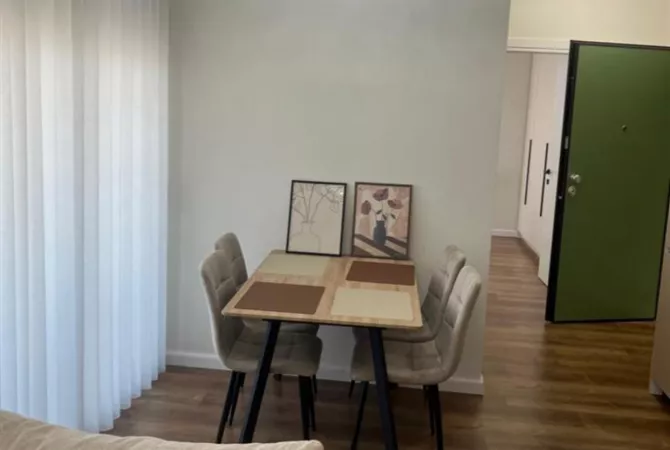 House for Rent 1+1 in Tirana - 650 Euro