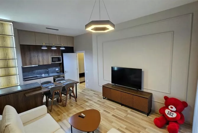 House for Rent 1+1 in Tirana - 750 Euro