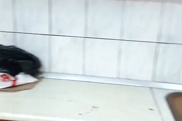 Shtepi me qera Apartament ne Tirane, 1+1, Mobilimi E mobiluar, Pagesa 30,000  Leke.