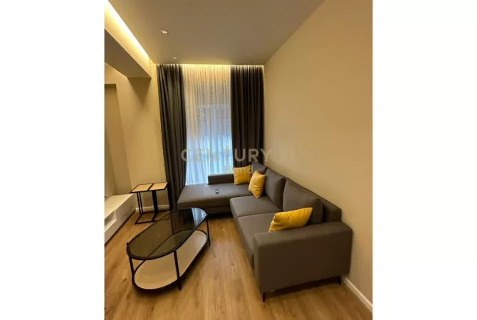 Shtepi ne shitje 1+1 ne Tirane - 100,000 Euro