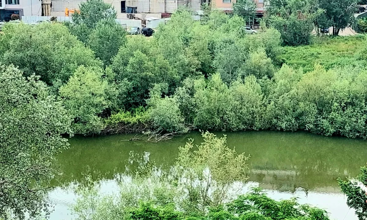 Foto 1