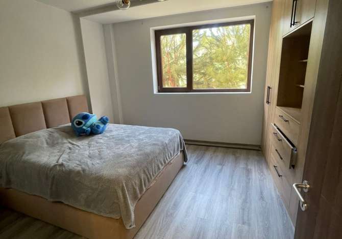 Apartment for rent in Tirana 1+1, Furnished