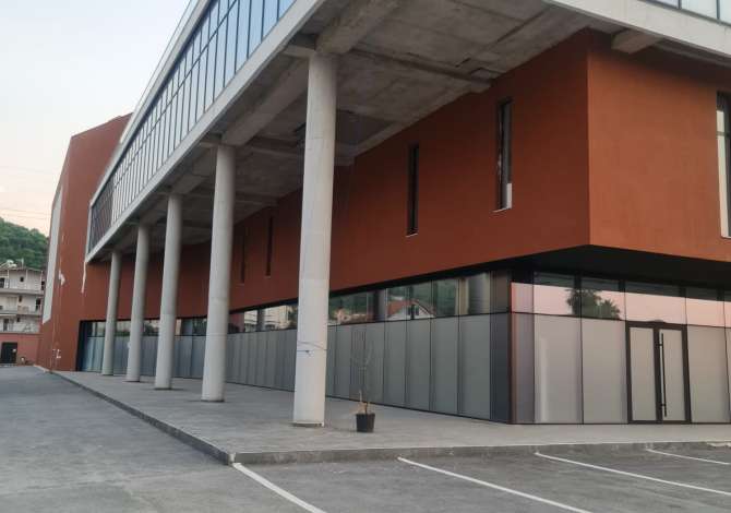 Ambient biznesi me qera 1+1 ne Tirane - 5,000 Euro