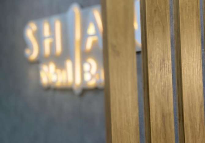 Shitet Ambjent Biznesi i Sapo Invenstuar tek Liqeni i Thate 