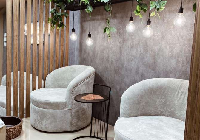 Shitet Ambjent Biznesi i Sapo Invenstuar tek Liqeni i Thate 