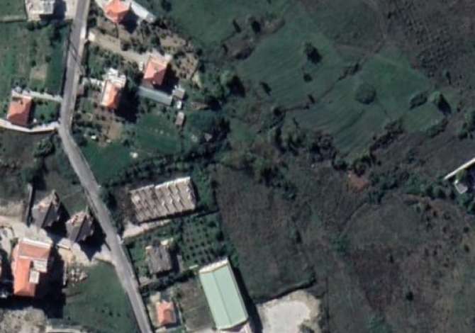 Truall ose Toke  ne Tirane - 80,000 Euro