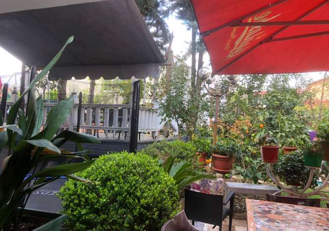 JEPET ME QIRA LOKAL TEK RRETHROTULLIMI I SHKOZES !!