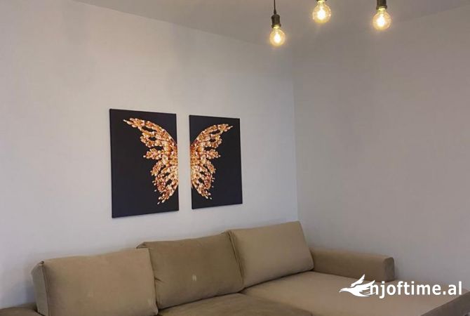 Shtepi ne shitje 1+1 ne Tirane - 110,000 Euro