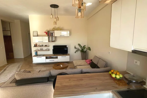 House for Rent 2+1 in Tirana - 650 Euro