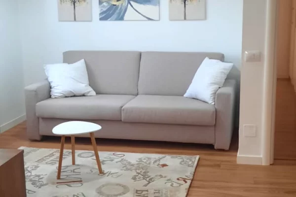 House for Rent 1+1 in Tirana - 45,000 Leke