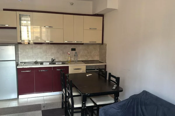 Shtepi me qera 1+1 ne Tirane - 45,000 Leke