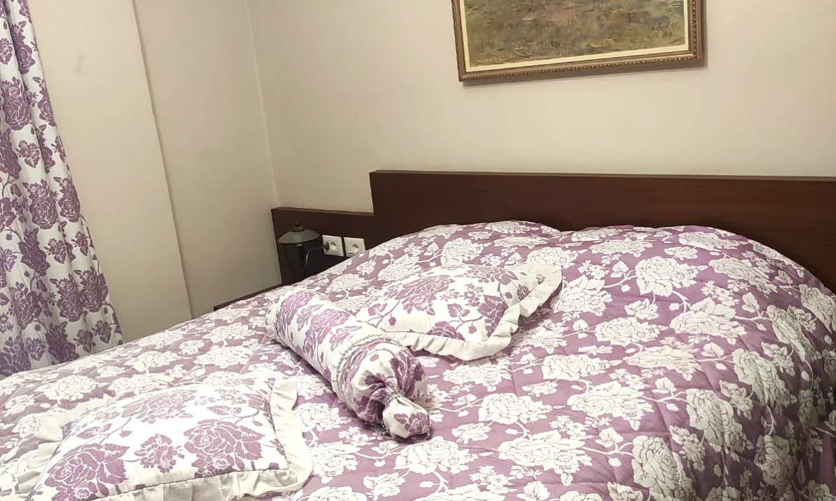 Shtepi me qera Apartament ne Tirane, 1+1, Mobilimi E mobiluar, Pagesa 500  Euro.